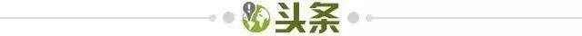 开云在线-【早报】切尔西时隔9年再夺欧冠！瓜帅决赛整活滴神！